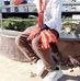 Torun Hazz - Facebook
