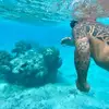 Des Roberts - @des.roberts7 - TikTok