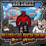 Deshon Gray - @arkrelentlessbucketheadbully - Instagram