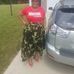 Deshonna Williams - Facebook