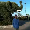 deshoujiang - @deshoujiang - TikTok