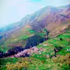 Desiderio camacho - @desiderio.camacho - TikTok