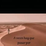 Desiderio Martínez - @desideriomartinez1 - Instagram