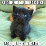 Desiderio Ramirez.M - @desiderio.r.m - Instagram