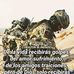Desiderio Sanchez - Facebook