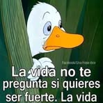 Desiderio Silva - Facebook
