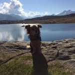 Desiree +Sherry  unterwegs - @sherryunterwegs - Instagram