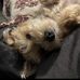 Desiree Baker - Facebook
