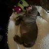 Desirae fields - @desiraefields - TikTok