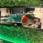Desirae Jackson - Facebook
