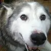 Desiree Sutton - @desiree.sutton0 - TikTok