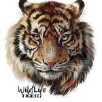 Desirae Weber - @i_of_the_tiger - Instagram