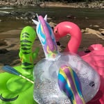 Desiree Williamson - @kayakgidget - Instagram