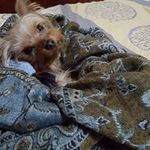 Desiree Davis - @desiree.davis.39545 - Instagram