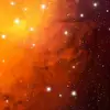 desirethompson618 - @kitty_1554 - TikTok