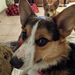Desiree Ames - @da3880blackhorse - Instagram