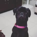 Desiree Arevalo_12 - @desireearevalo_12 - Instagram