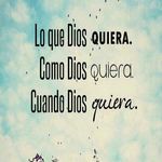 Desiree Chacon - @desireechacon15816 - Instagram