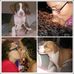 Desiree Cherry - Facebook