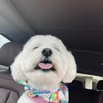 Desiree Clarke - @desiree.clarke - Instagram