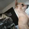 desireedaugherty84 - @desireedaugherty84 - TikTok