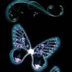 Desiree Dent - Facebook