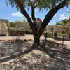Desiree Dial - @desiree.dial5 - TikTok