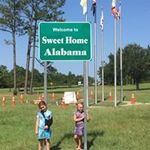 Desiree Harrison Bosco - @jaxpen - Instagram