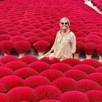 Desirée Herrmann - @dexherrmann - Instagram