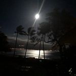 Desiree Hodges Moore - @dray0011 - Instagram
