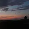 desireehodges728 - @desireehodges728 - TikTok