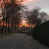 desireekok - @voetbalmeisjefan6 - TikTok
