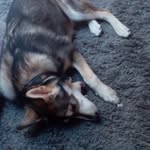 Desiree mirage Larson - @snip.er6606 - Instagram