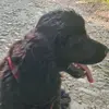 Desiree Dehass Meier - @desireedehass - TikTok