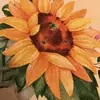 desireemeier1988 - @desireemeier1988 - TikTok