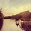 Millbrook Trail Rides - @millbrooktrailrides - TikTok