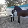 mariadesireemoran1 - @mariadesireemoran1 - TikTok