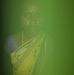 Dasari Muthyalamma - Facebook