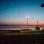 Phyliss Seliger - @desireeoswald70 - Instagram