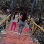 Desiree Pacheco - @desireepacheco2801 - Instagram
