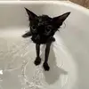 Desiree💕 - @desiree.roberts2 - TikTok