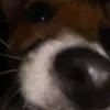 desireevarner - @desireevarner - TikTok