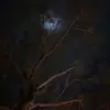 Desiree Velez - @desireevelez25 - TikTok