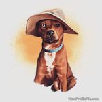 Désirée Laviolette - @laviolettedesiree - Instagram