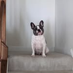 Desmond Arnold - @desmondwarnold - Instagram