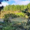 Desmond Capper - @desmond.capper - TikTok