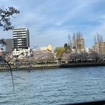 Desmond Cheung - @desmond.cheung.1428 - Instagram