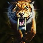 Desmond Fleming - @legend_djf - Instagram