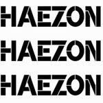 Desmond Green - @haezon.co - Instagram