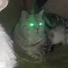 desmond_hendrix - @desmond_hendrix - TikTok
